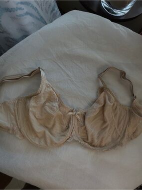 Olga Beige Sheer Lace Underwire Bra